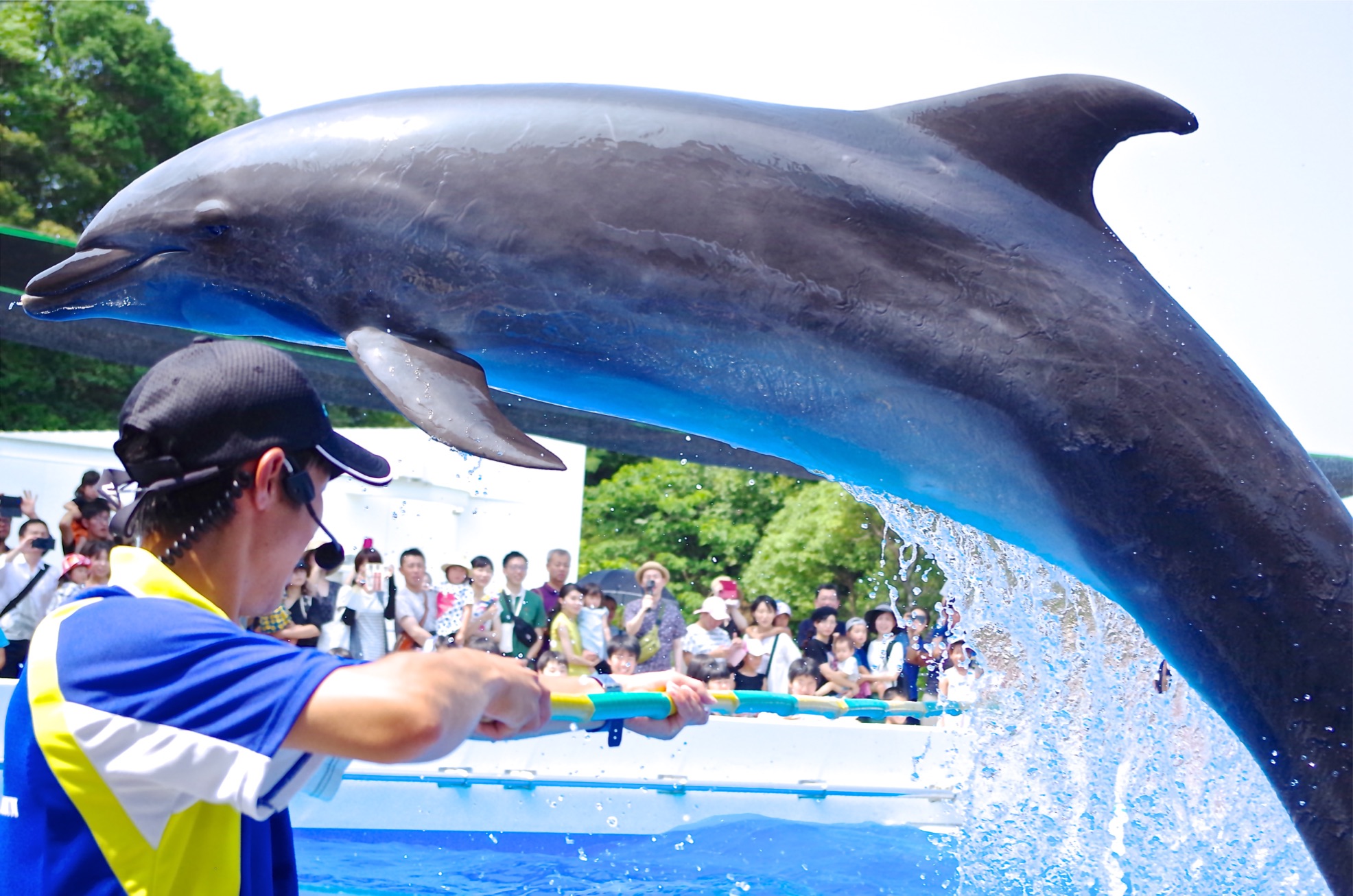 閑話休題　佐世保らしく楽しみましょう