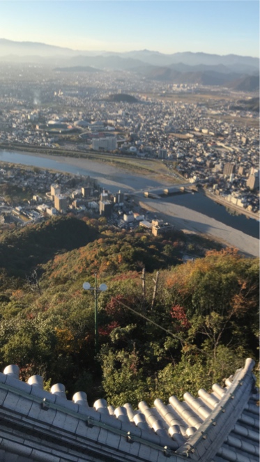 2019年　第36回日本障害者歯科学会学術大会　