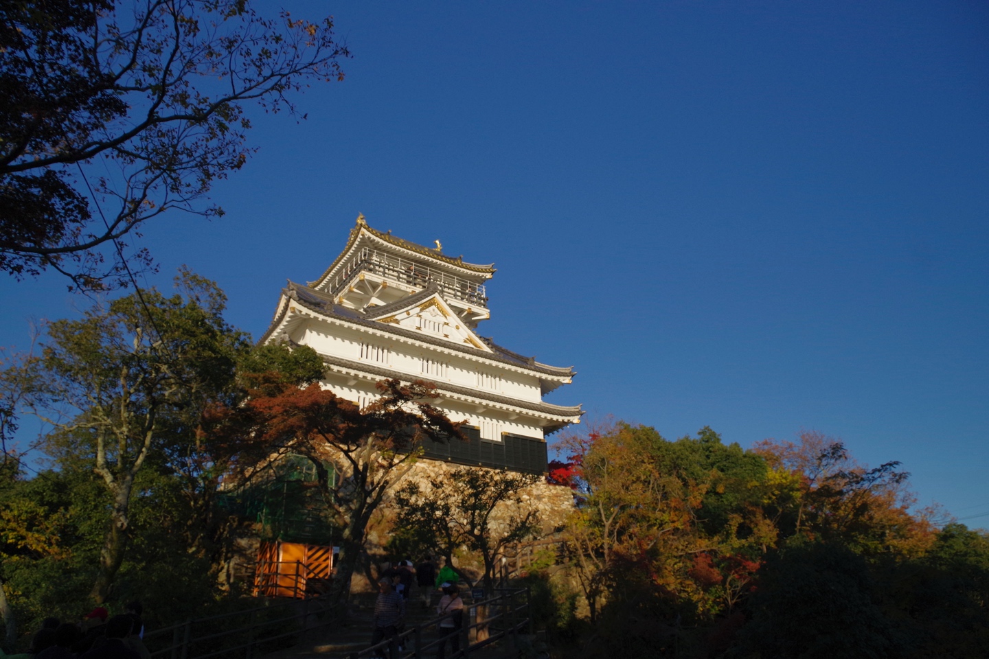 2019年　第36回日本障害者歯科学会学術大会　