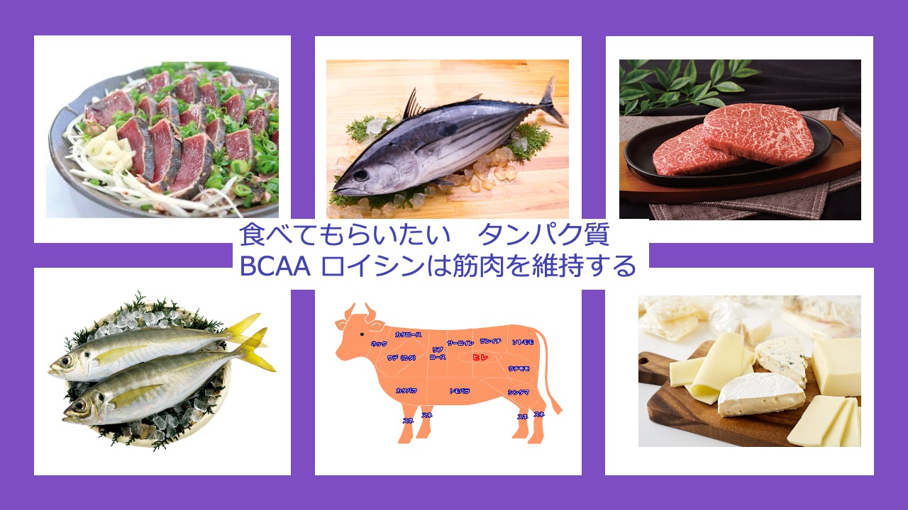 講義「在宅治療における歯科医師の役割」その3