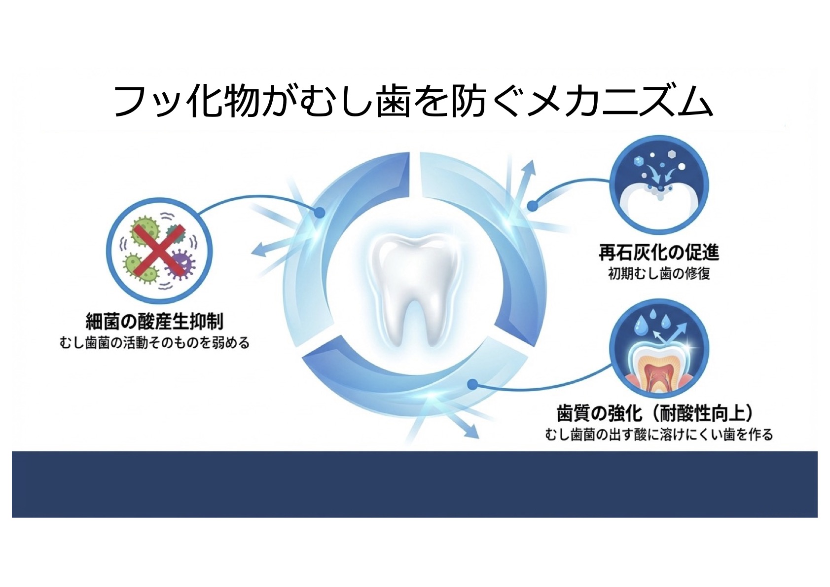 むし歯予防の基礎知識とフッ化物応用